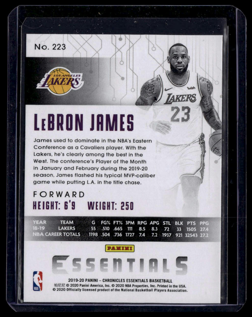 2019-20 Panini Chronicles #223 LeBron James Pink